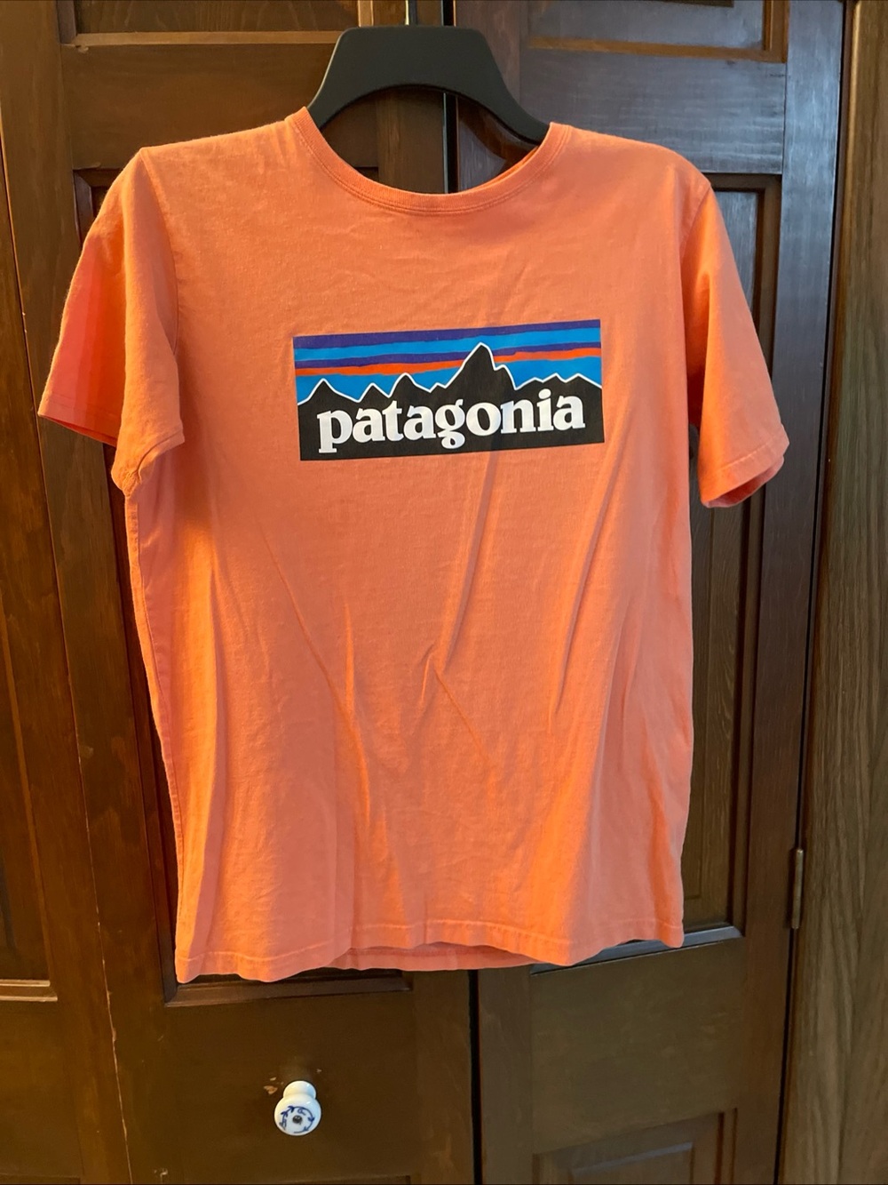 Patagonia T-Shirt Crew Neck Large Logo Peach  Youth Unisex Size XXL(16)